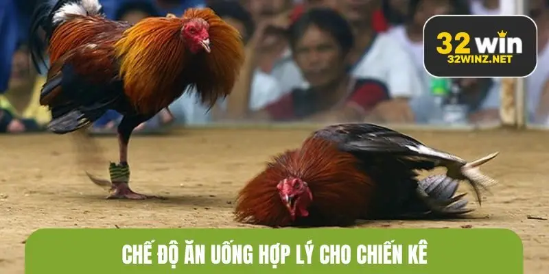 Chế độ ăn uống hợp lý cho chiến kê
