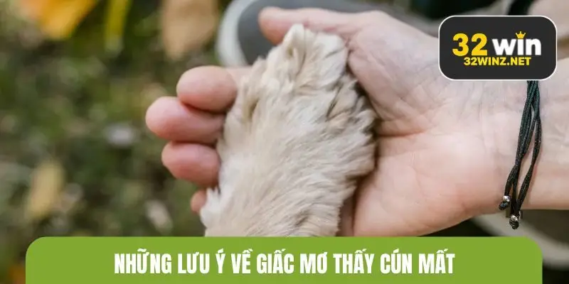 Những lưu ý về giấc mơ thấy cún mất