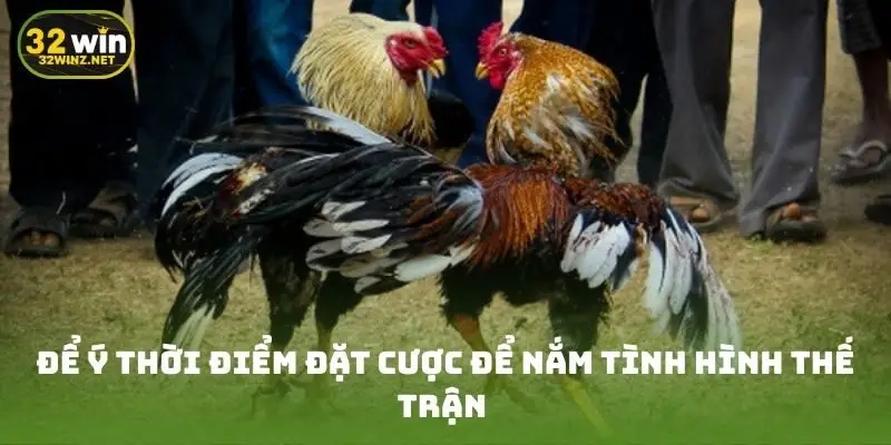 Để ý thời điểm đặt cược để nắm tình hình thế trận
