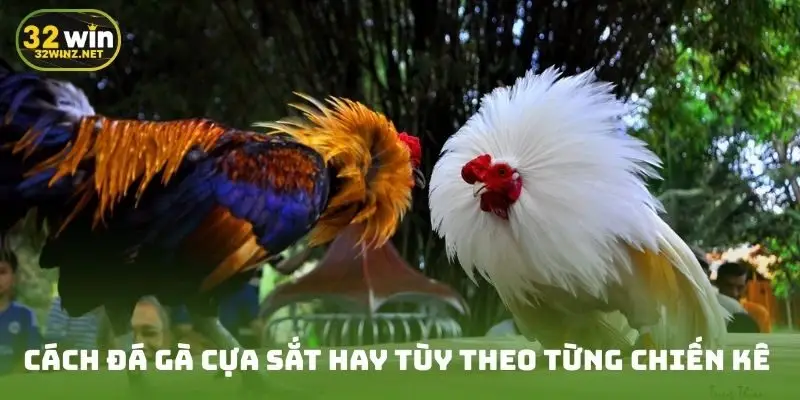 Cách đá gà cựa sắt hay tùy theo từng chiến kê